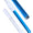 Manche télescopique 4'-12' BLEU