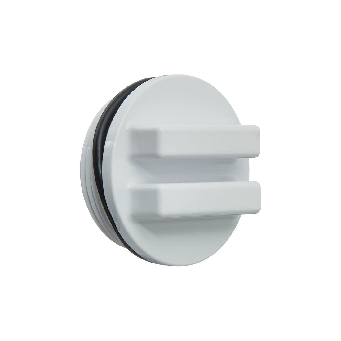 1-1/2" Plug with O-Ring