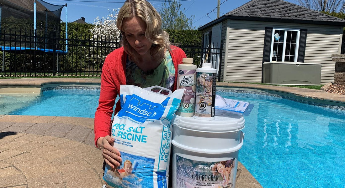 Quelles sont les étapes pour démarrer le système au sel