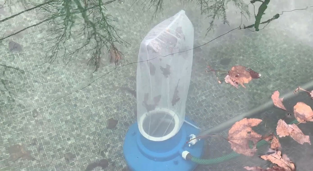 Quelle est la meilleure méthode pour enlever les feuilles dans la piscine au printemps