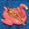 Giant Flamingo 