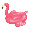 Giant Flamingo 
