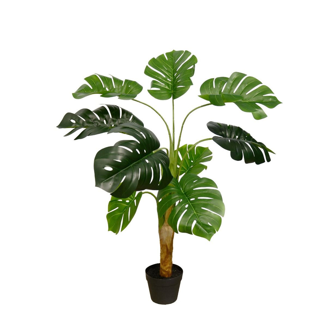 Monstera Plant, 130 cm