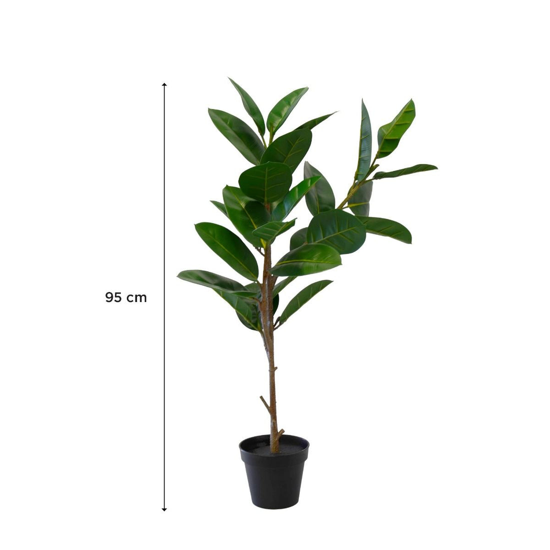 Plante Oak 95 cm
