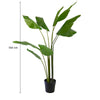 Bird of Paradise Plant, 150 cm