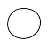 Sta-Rite Seal Plate O-Ring