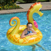 Seahorse float tube