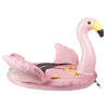 Flamant rose remorquable Swimline