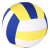 Ballon de volley ball