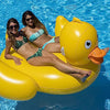 Giant rubber duck float