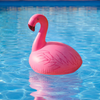 Inflatable Flamingo Solar Lamp for Pool and Spa - CT212FG