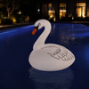 Lampe solaire gonflable en forme de cygne pour piscine et spa - CT212SW
