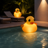 Inflatable Duck Solar Lamp for Swimming Pool and Spa - CT218