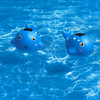 Lumière solaire flottante baleine bleue pour piscine et spa - CT2108
