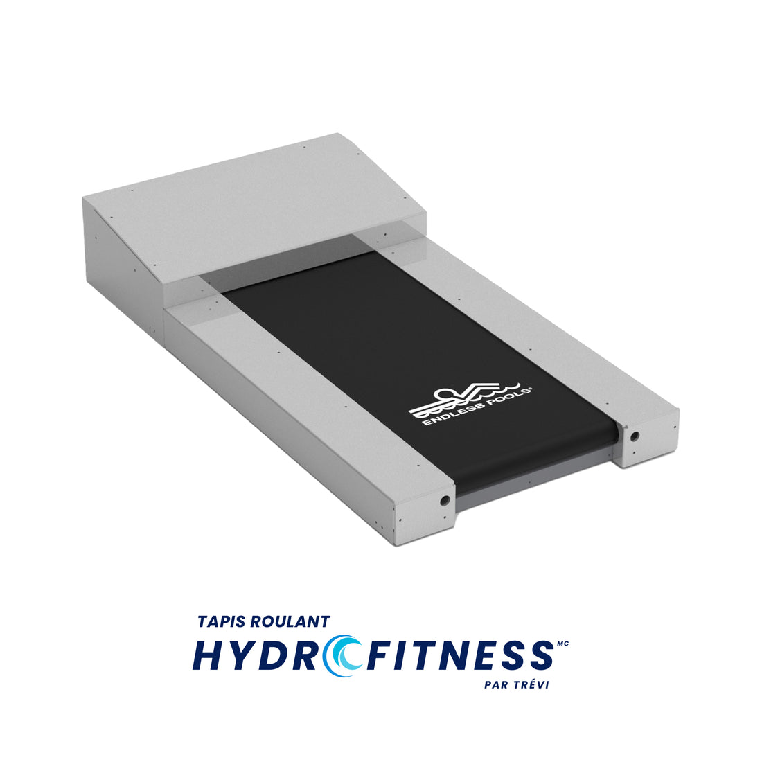 HydroFitness Treadmill - Endless Pools