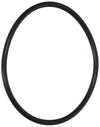 Hayward Swimclear Filter Seal