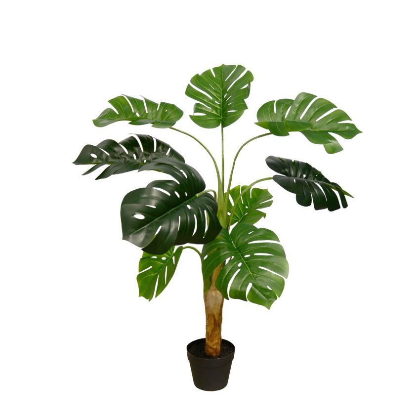 Monstera Plant, 130 cm